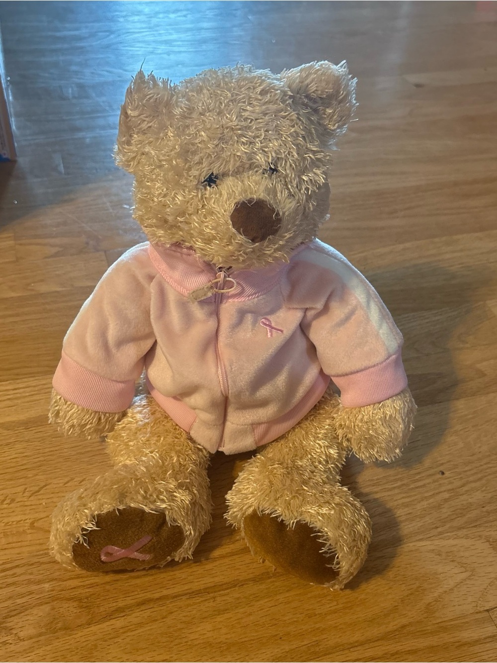 Gund may stores 2005 16" plush breast cancer teddy bear Pink Jacket